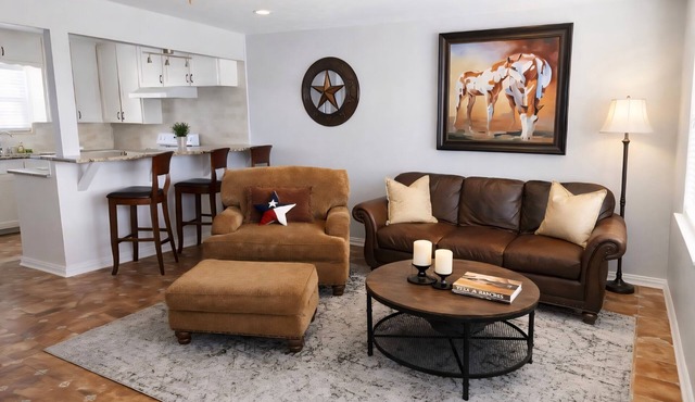 Ft. Worth Western Charm, treetop Sanctuary 2 bdrm near hospitals, stockyards,TCU
