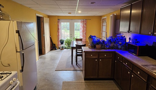 Full basement apartment.