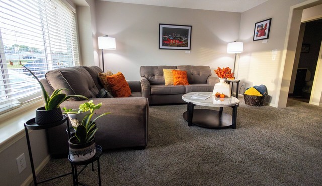Full clean 3-bedroom house close to stadiums and pet friendly!