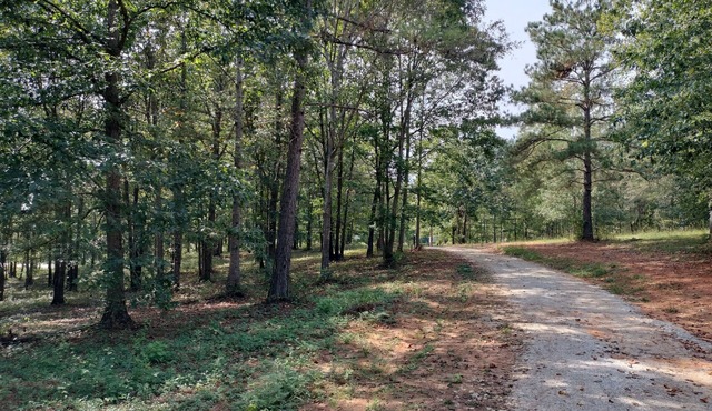 Full Hookup RV site-Pet Friendly! Big Foot Trail at Hairy Hiker Woods