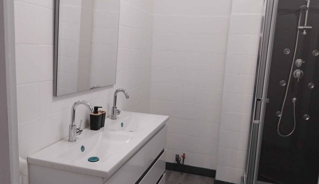 Fully equipped 80m2 apartment Châteaucreux/Zénith/Stade