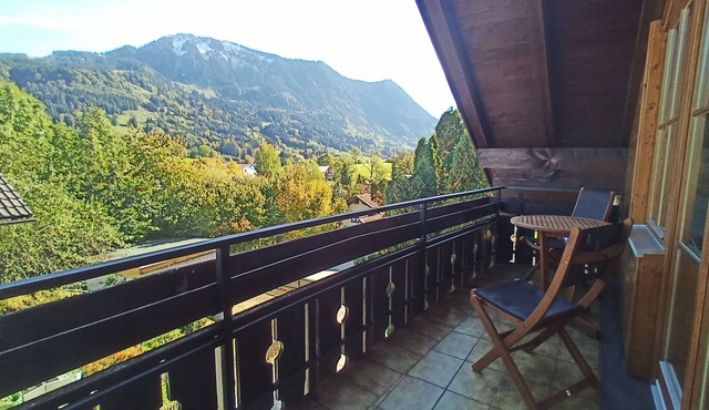 Fully equipped 94sqm apartment with fantastic mountain panorama of the Grünten in Rettenberg