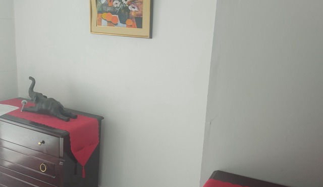 Fully-equipped apartment