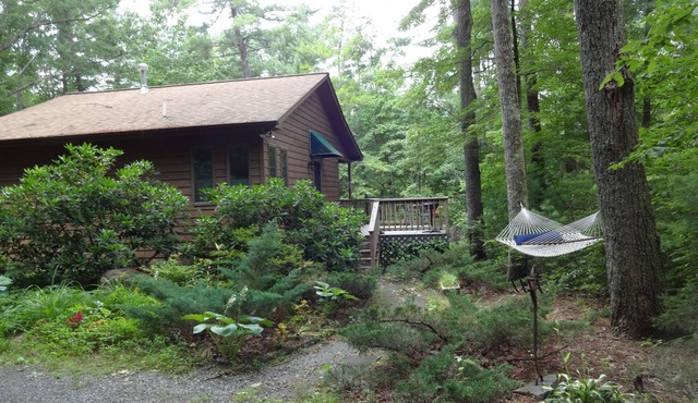 Fully equipped, romantic cabin for 2 in the Blue Ridge Mountains n