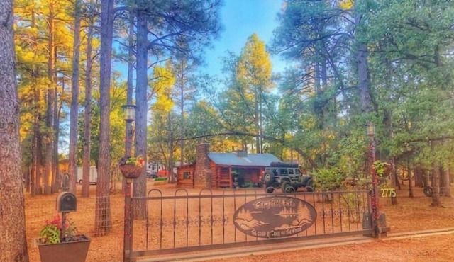 Fully fenced yard, dogs welcome!