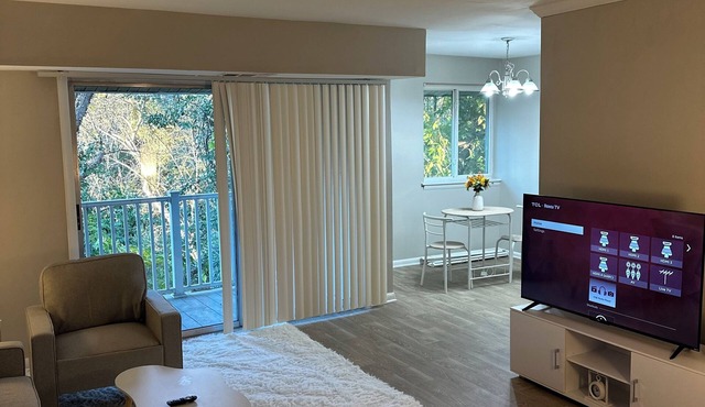Fully Furnished 1Bedroom Apartment in Brookhaven New to Emory/children hospital