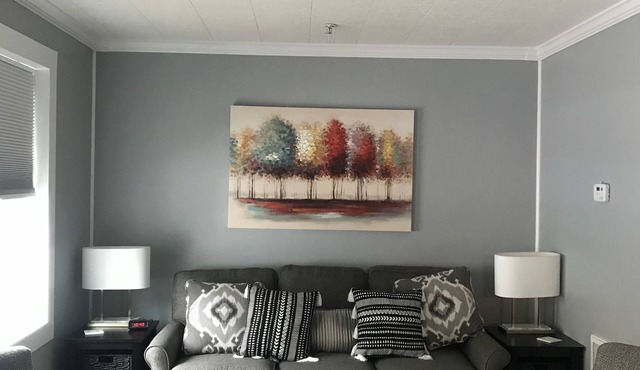 Fully Furnished 2 Bed single level - Ivy Branch Cottage