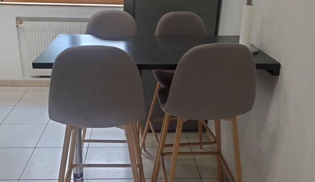 Fully furnished apartment on the outskirts of Geneva