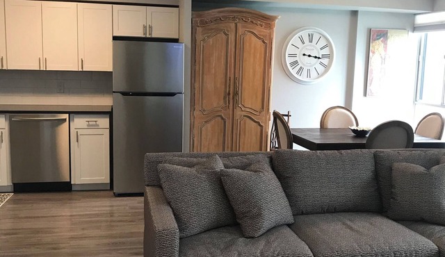 FULLY FURNISHED ONE BEDROOM CONDO - RIVER VIEW