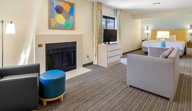 Fully Furnished Studio | MTM | All-Inclusive