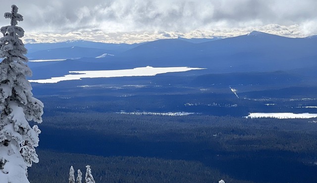 Fully remodeled ~ Close to old Mill~ Bonus Room~Spring has arrived