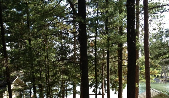Fully remodeled cottage on Waupaca Chain O' Lakes - Limekiln Lake