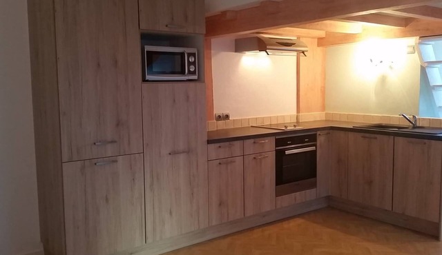 Fully renovated 45m2 apartment in lullin