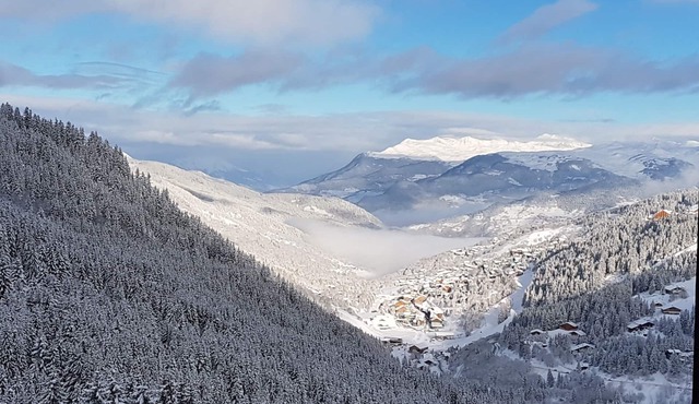 Fully renovated apartment, ski-in, 55 m2, superb mountain view