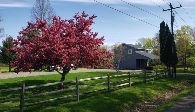 Fully Renovated rural cottage in the perfect spot!