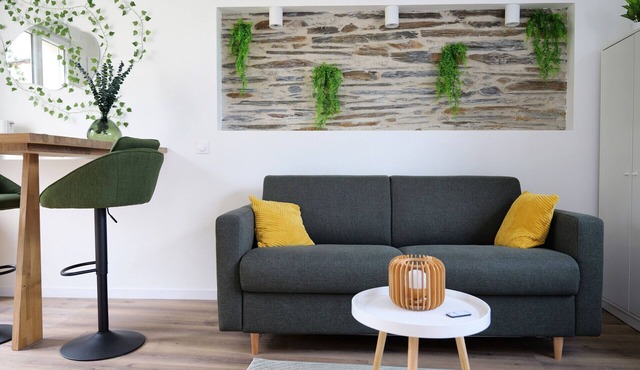 Fully renovated studio just steps from Angers University Hospital