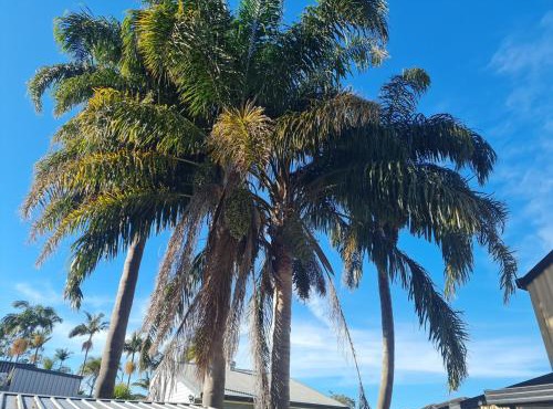 Fully Self Contained Guesthouse Retreat