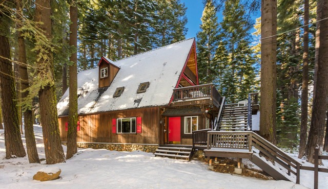 Fun Cabin, Ping Pong, Pool Table, Hot Tub, Hiking, Biking, Forest, Wildlife,Pets