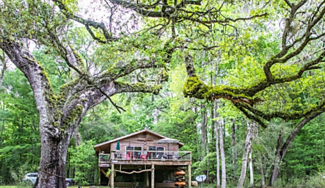 Fun House on the Santa Fe River