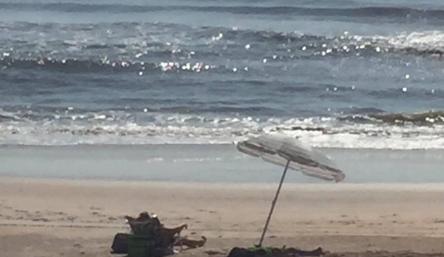 Fun in Flagler Beach(discounts for longer stays)