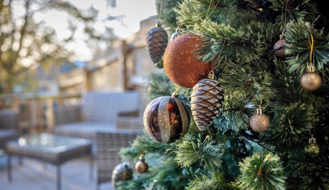 Fun Luxury Home, City Walk, Pool Table, Air Hockey, Garden, Parking - Oakview