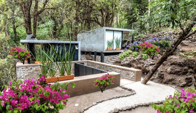 Fungi Tepoz Cabins