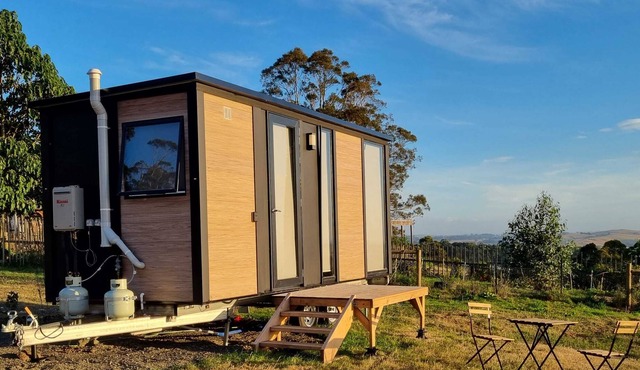 Funky Tiny Summary:E