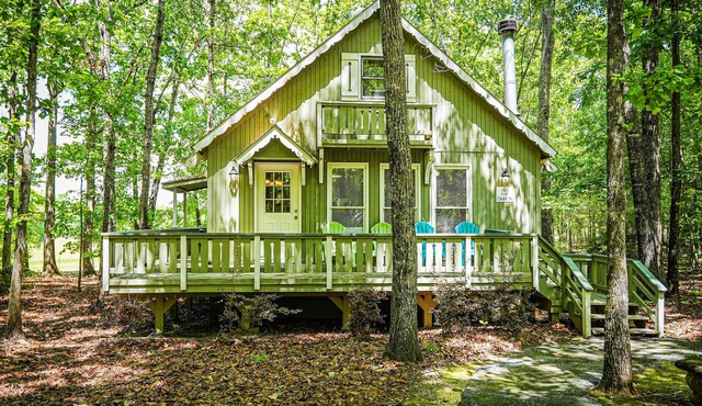 Fur babies welcome in this wooded view chalet!