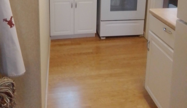 FURNISHED (1 ) BEDROOM ENTIRE 1st FL. of CLASSIC HOME