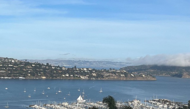 Furnished 30 to 60 day rental - Feb/March - Architectural Gem with Bay Views