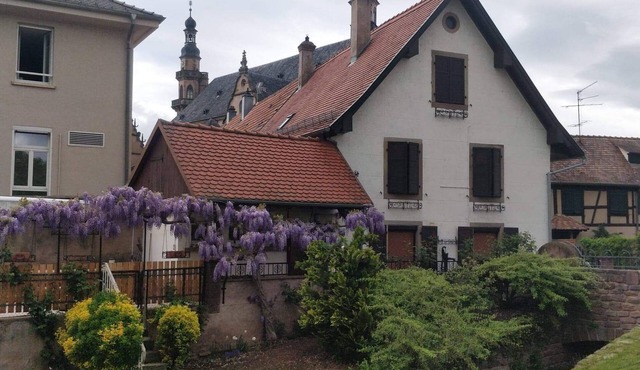 Furnished accommodation "La Schliff"