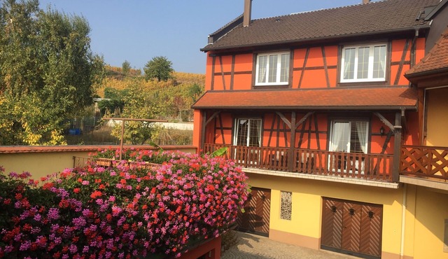 Furnished all mod cons apartment in a half-timbered Alsatian house