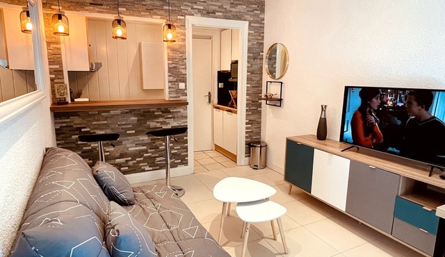 Furnished and equipped T2 with superb view of the Cher river