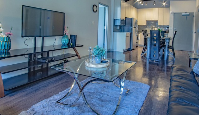 Furnished Apt near Fox Theatre