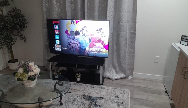 Furnished basement with seperate entrance ,living room,washroom and kitchenette