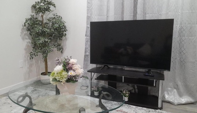Furnished Basement with Seperate Entrance