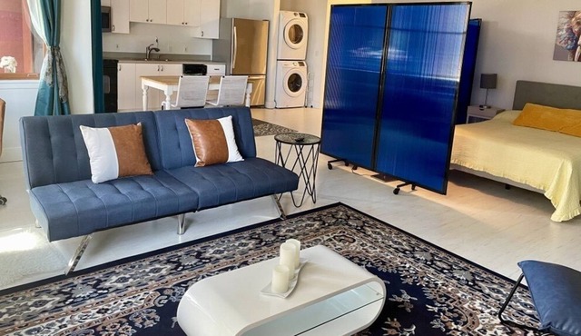 Furnished! Beautiful Loft in the Old Town/Pearl/Downtown Area