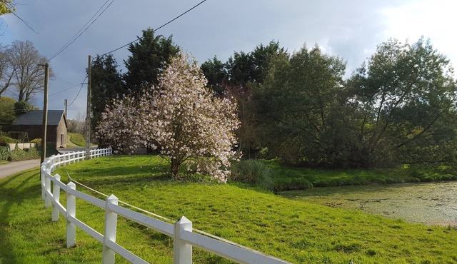 Furnished cottage "les Azalés"