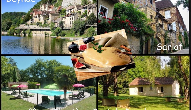 Furnished houses for 5 people in Castels Périgord Noir