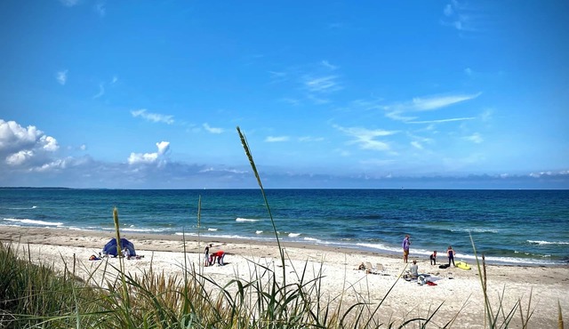 Furnished Home by Sea & Fjords - Perfect for Remote Work Coastal Artist's Haven