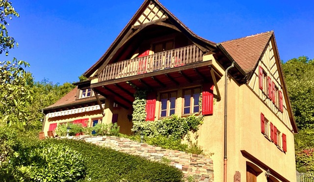 Furnished house 5p in Osenbach Sunny Quiet Exceptional view 25mn from Colmar