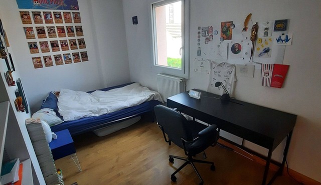 Furnished house to rent july and august - near Lyon