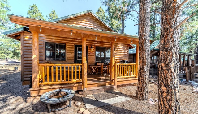 Furnished, Private 2 bedroom cabin