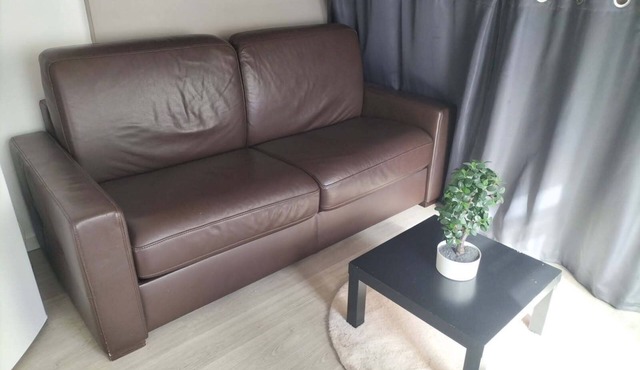 FURNISHED STUDIO DOWNTOWN DIJON FOR RENT