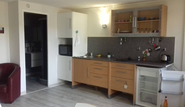 Furnished studio in St Martin la Plaine