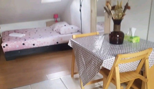 Furnished studio in the city center