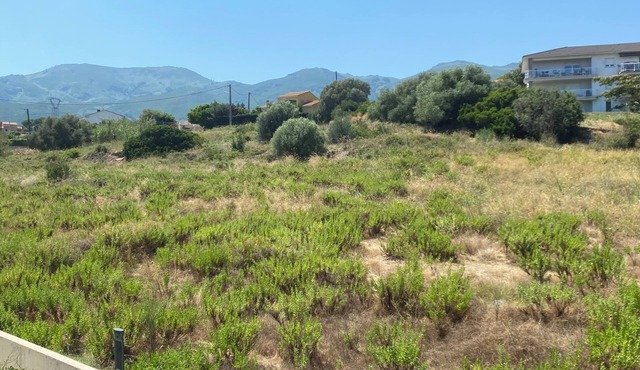 Furnished studio in the heart of Furiani