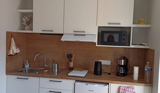 Furnished studio "Les Sources