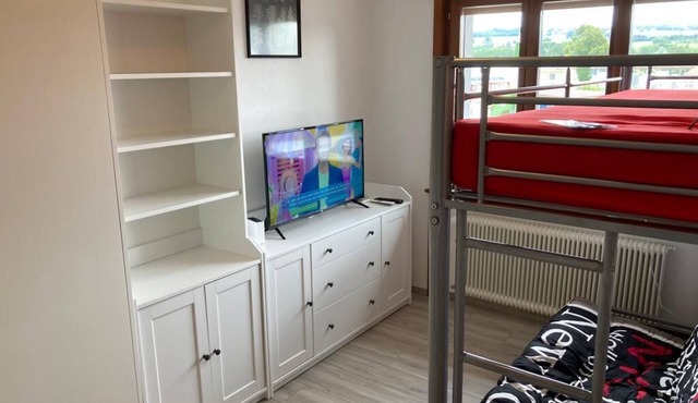 Furnished studio near Vevey and Lausanne in Forel Lavaux