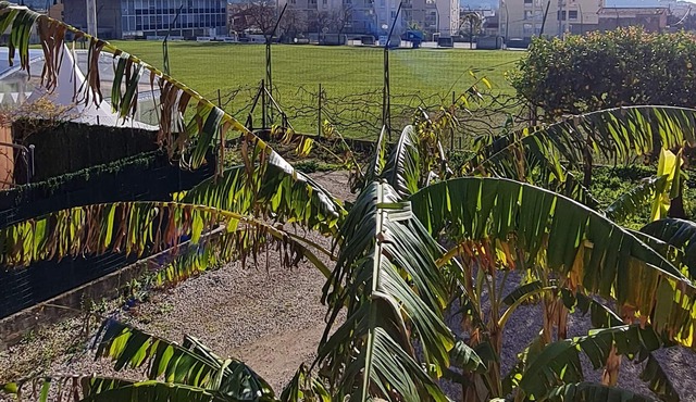 Furnished T6 apartment